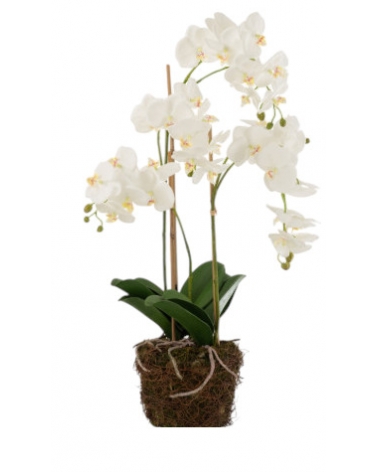 Orchidea v půdě umělá 75 cm
