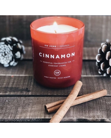 Vonná svíčka ve skle Cinnamon 108 g